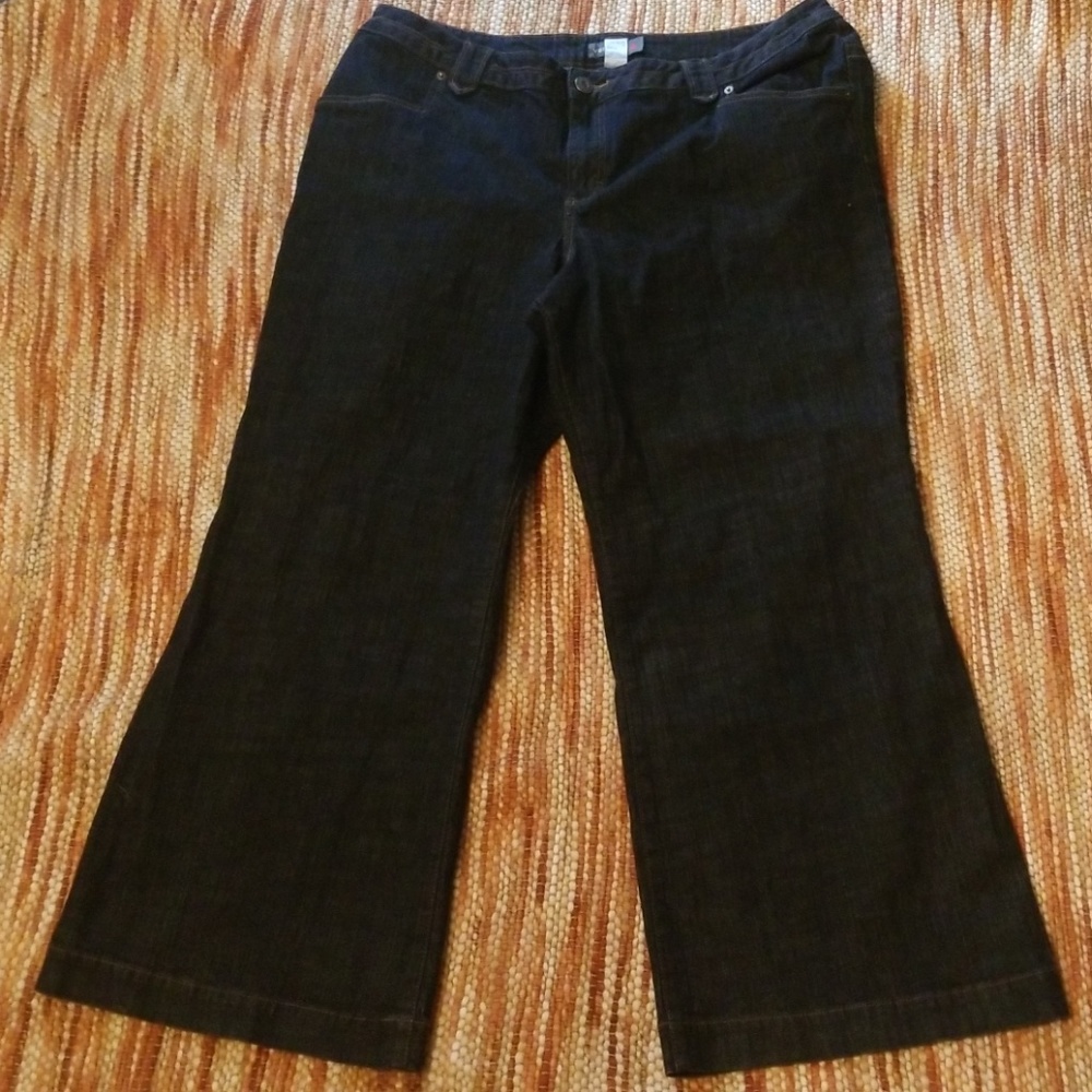 Venezia plus 5 Jeans 22w petite lane bryant